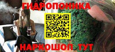шишки Гусев