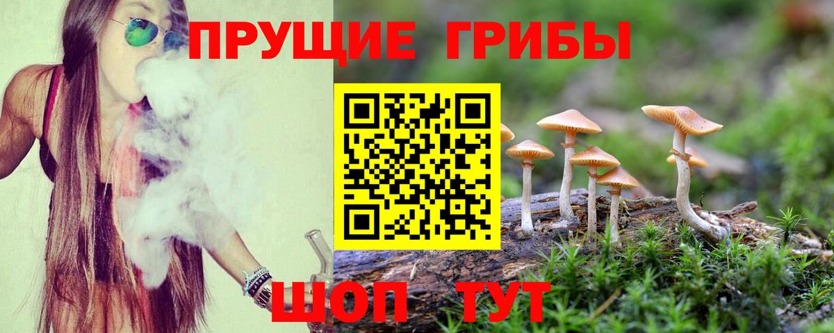 Назрань  Галлюциногенные грибы Psilocybe  Галлюциногенные грибы Magic Shrooms  Вход с VPN 