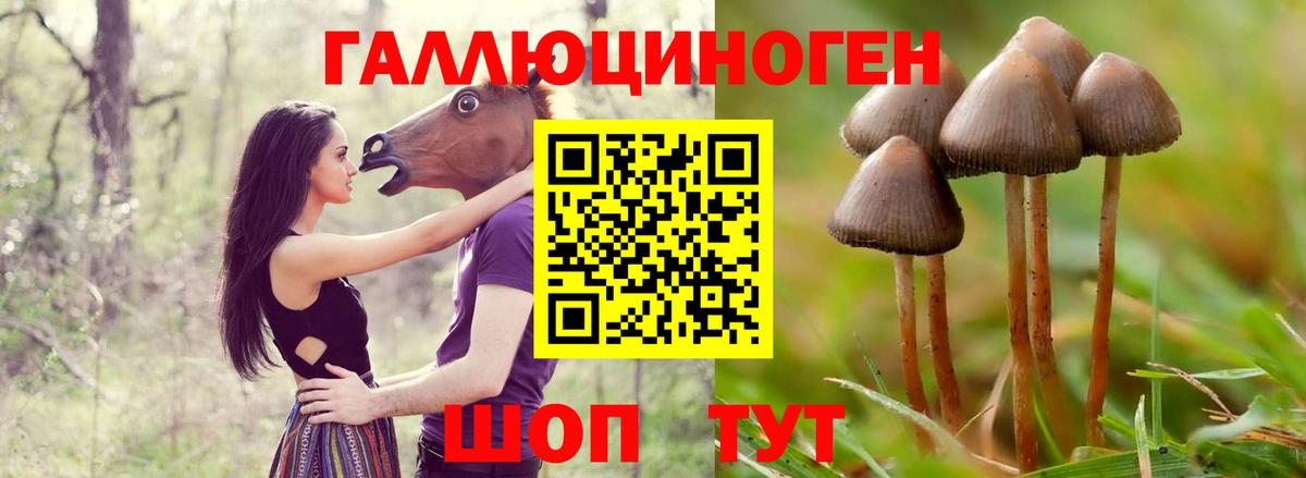 Псилоцибиновые грибы мицелий Назрань